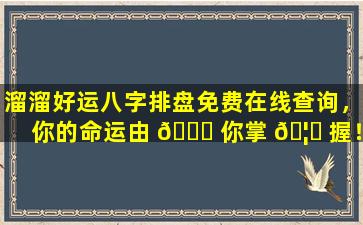 溜溜好运八字排盘免费在线查询，你的命运由 💐 你掌 🦍 握！